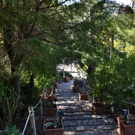 Mille Et Nuits - La Venus De Lisbonne Guest house
